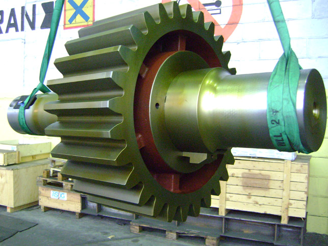 Ritzel - in Sphäroguss, auf geschmiedete Welle montiert